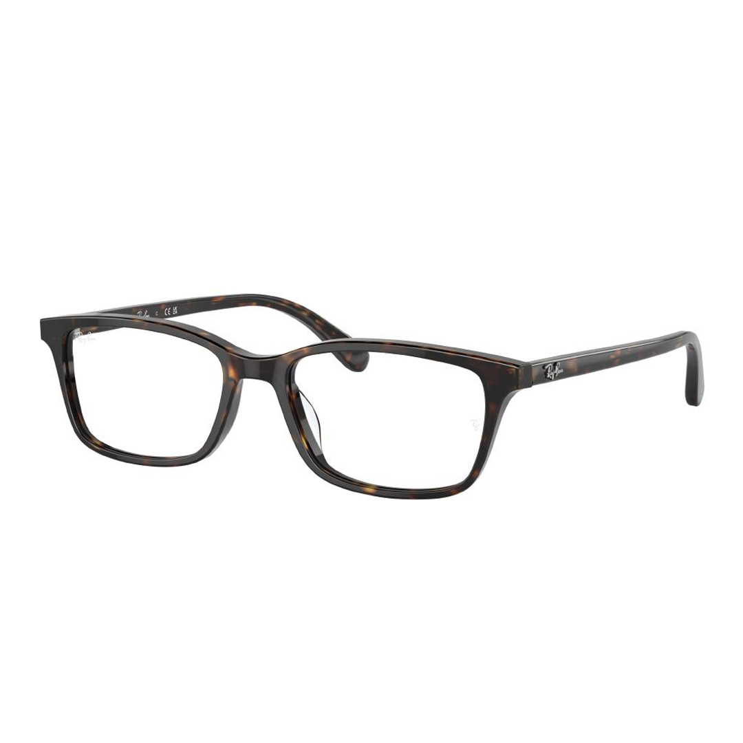 Оправы для очков Ray Ban RX5416D